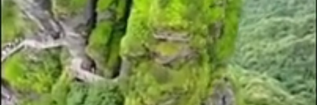 rawasi20's profile banner image