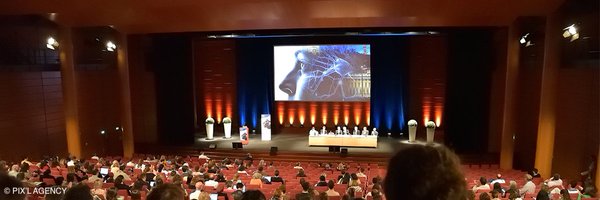 SocNeuro_Tweets Profile Banner