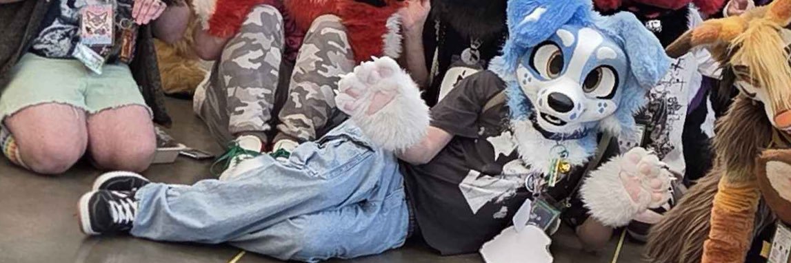 dandoodlepaws's profile banner image