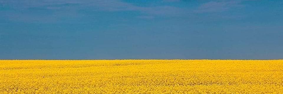 LuigiAbove6's profile banner image