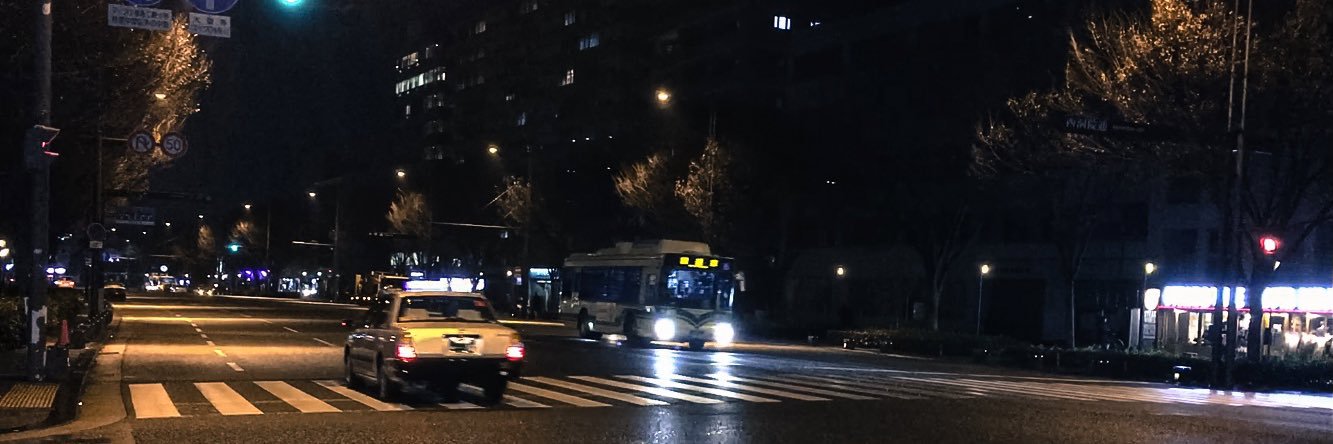 Daniele Raina banner