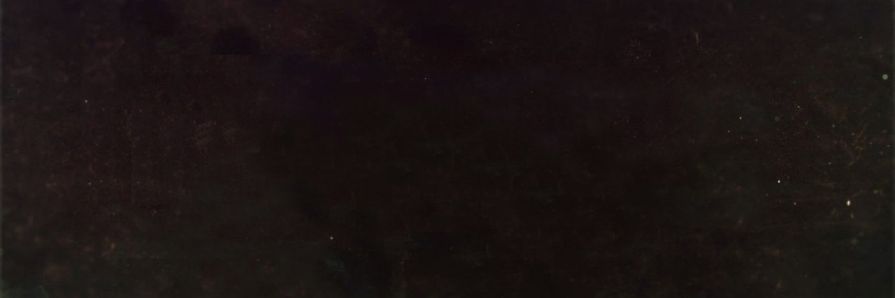 PRIrassicPark's profile banner image