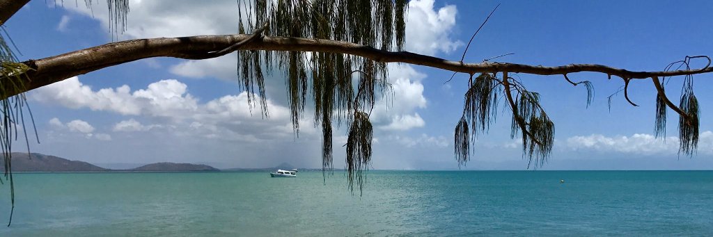 Michelle Bellingan banner