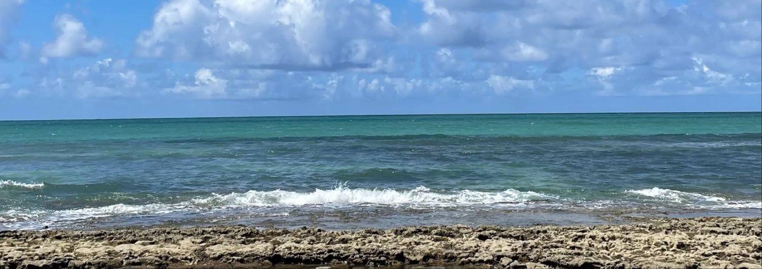 macaaauli's profile banner image