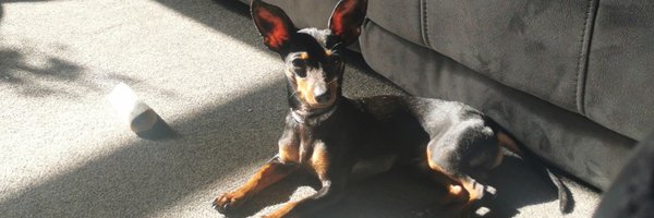 Mazz__93 Profile Banner