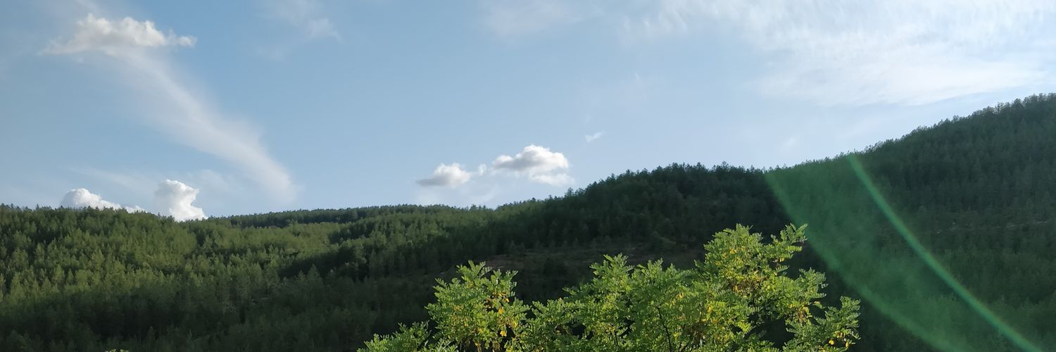 egoluciasum's profile banner image