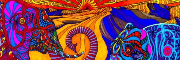 _lilykate_'s profile banner image