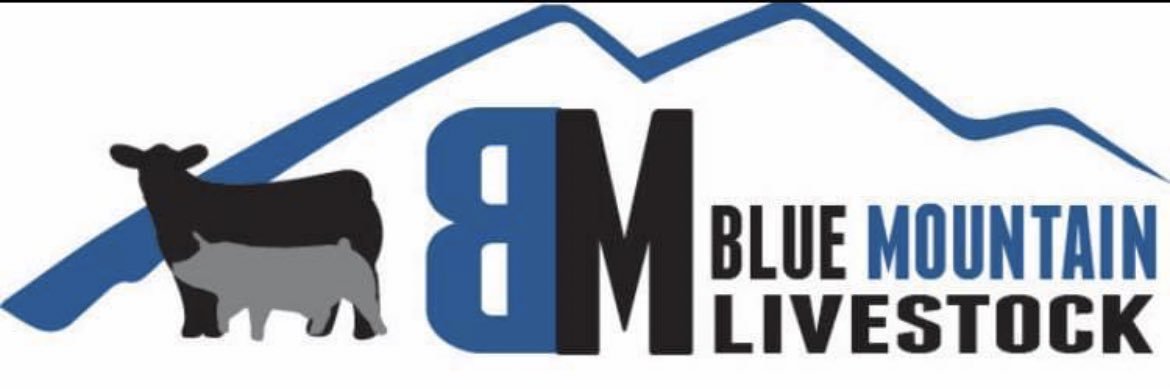 Justin Mosher banner