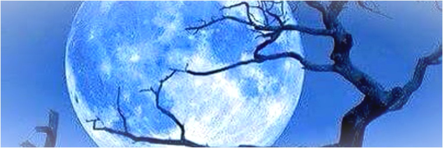 EstherLacy's profile banner image