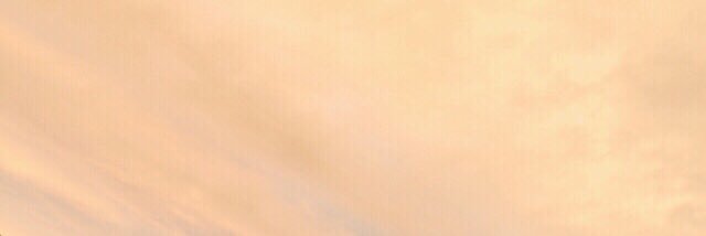 ran_____x8's profile banner image
