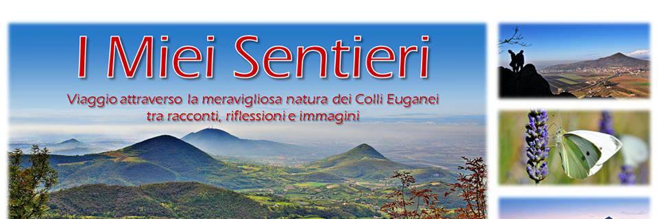 maxguercini's profile banner image