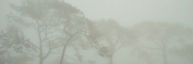 hallofdwtd's profile banner image