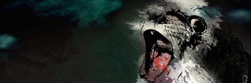 Audiodaan's profile banner image