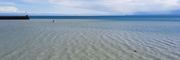 CassandreMetyr Profile Banner