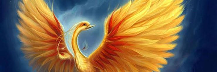 90FatiHan's profile banner image