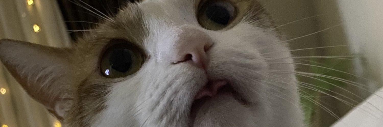 edoskaptan's profile banner image