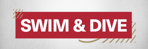 DU_SwimDive Profile Banner