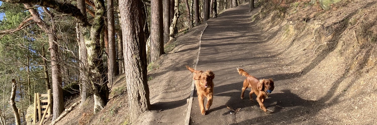 Benjamin Cliff banner