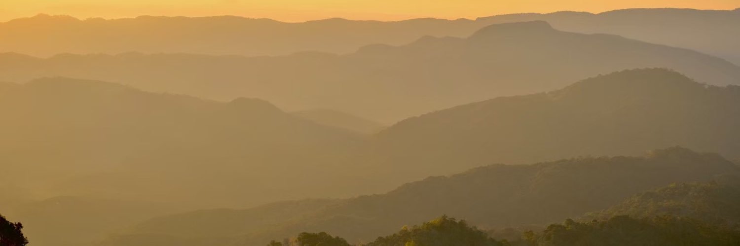 versace_te's profile banner image