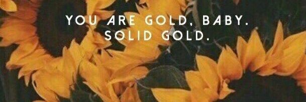 Meredith Mack banner