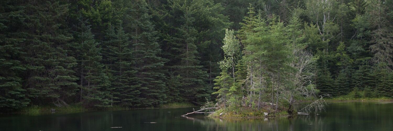 DalePrest's profile banner image