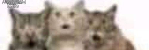 wqrxlr8's profile banner image