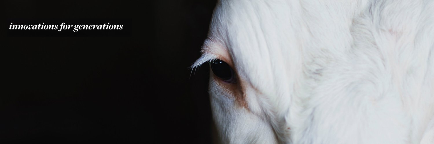 Grandma Singletons banner