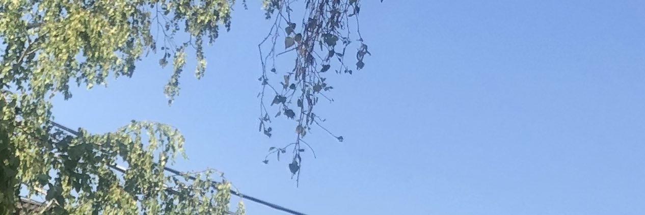 Leaf_Extract's profile banner image