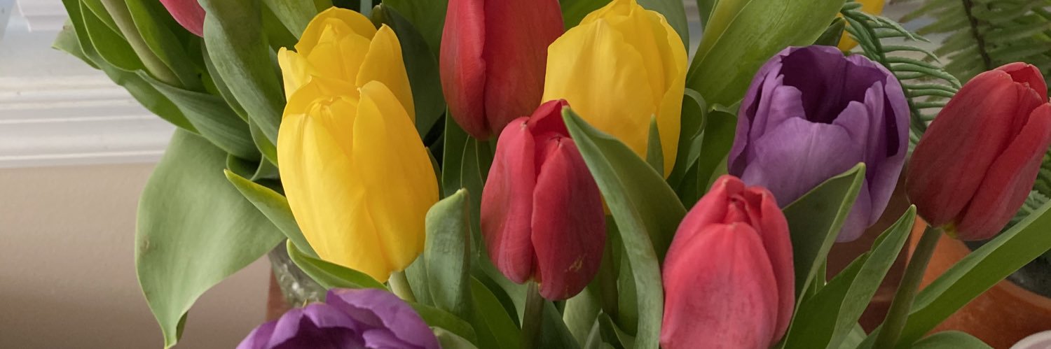 annackeys_'s profile banner image