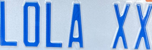 lori_l_mclean Profile Banner