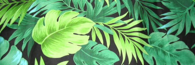 annachan_96's profile banner image