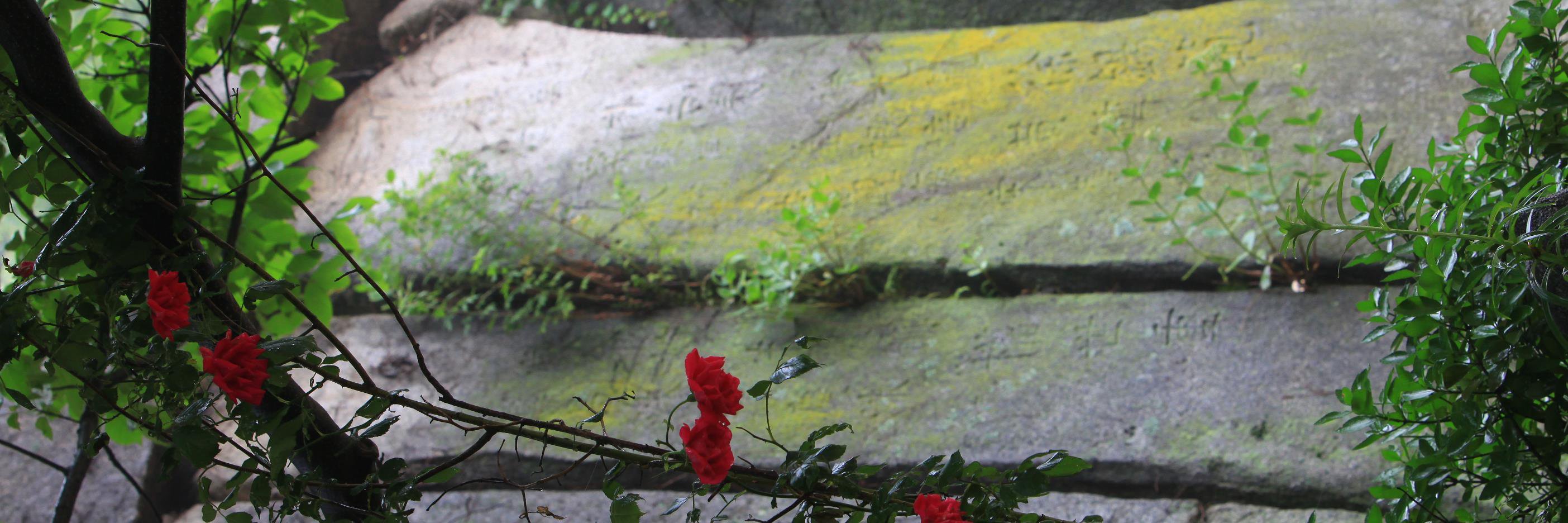 PARAMAHAMSA5's profile banner image