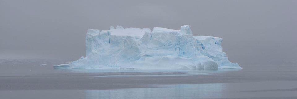 jolanda ter sluysen banner