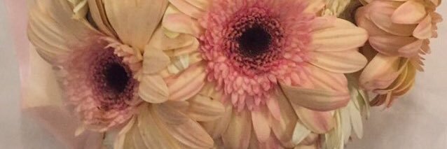 FC_FMF's profile banner image