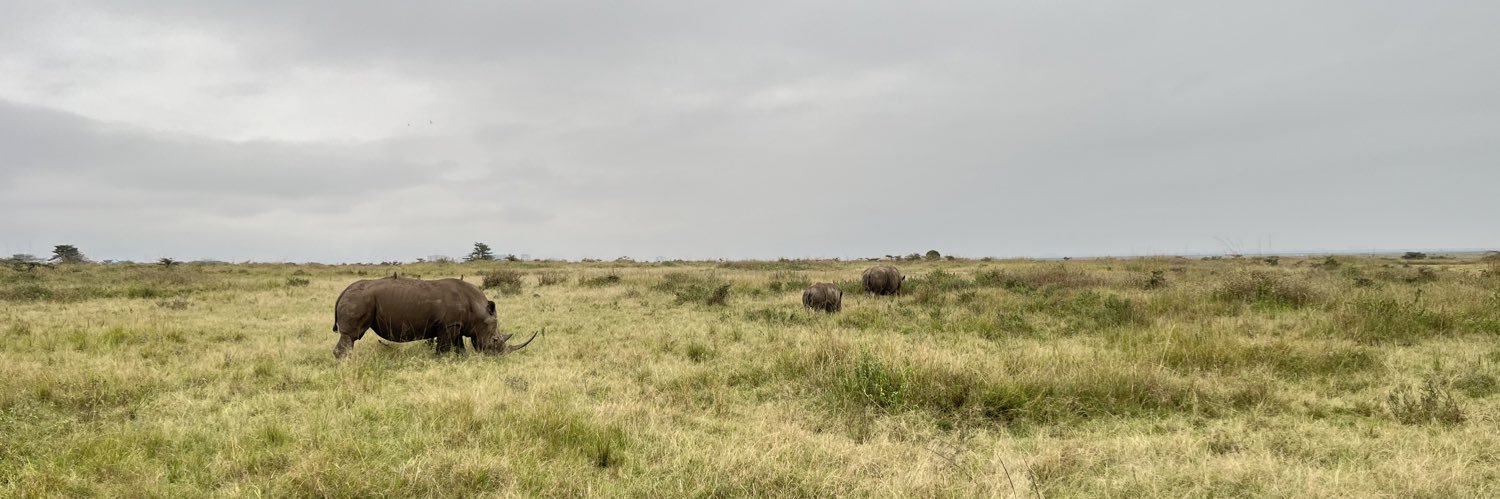 Leo Svahnbäck banner