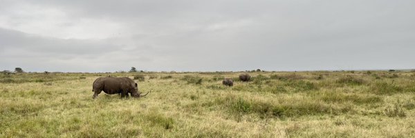 leosvahnback Profile Banner