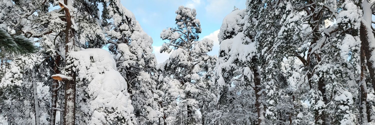 Lukas Lundström banner