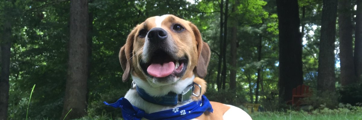 Malone703's profile banner image
