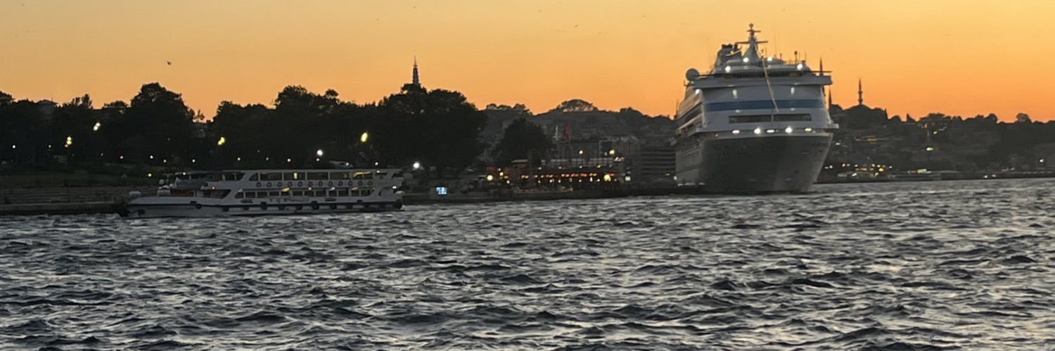 sevtapturko's profile banner image