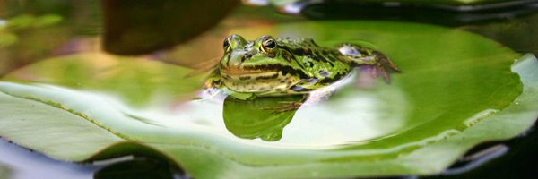 LTDigilusion Profile Banner