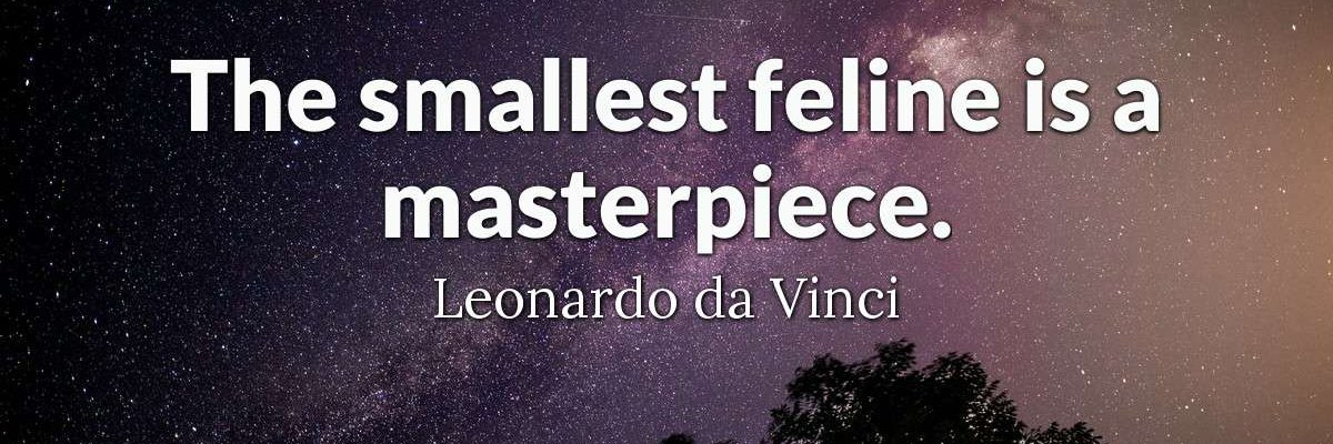 EaudAlice's profile banner image