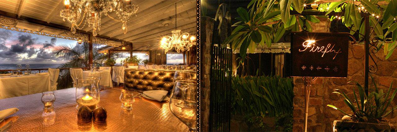 FireflyMustique's profile banner image