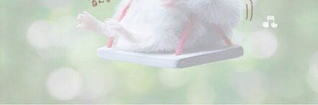 ruito__9's profile banner image