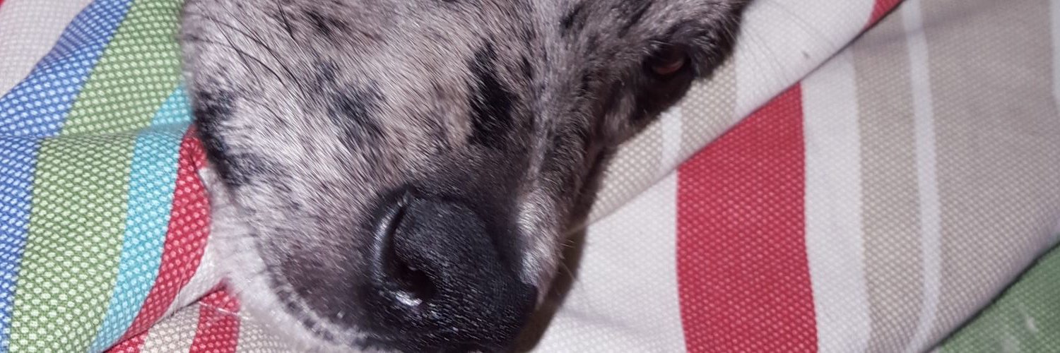 DeadLee_2's profile banner image
