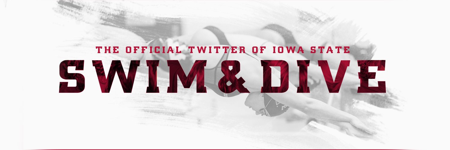 Cyclone Swim & Dive banner