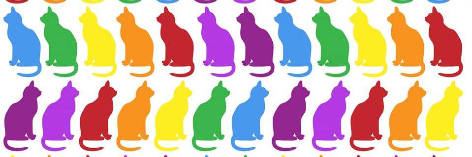 CommCatMovement's profile banner image