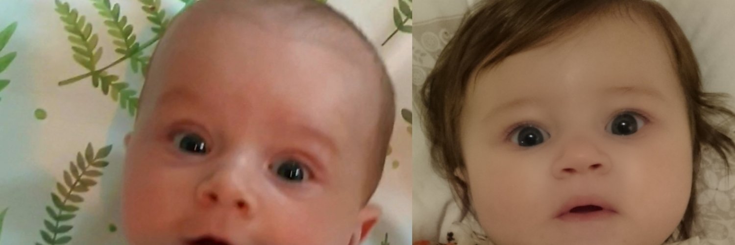 Alison Flanders banner