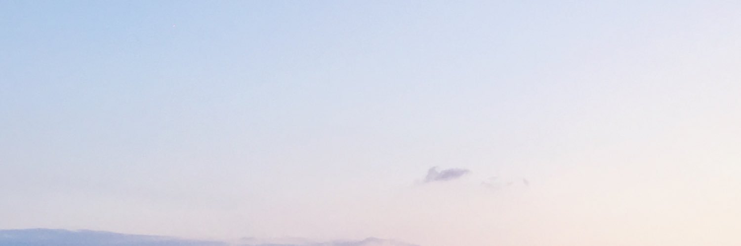 dmtrkv's profile banner image