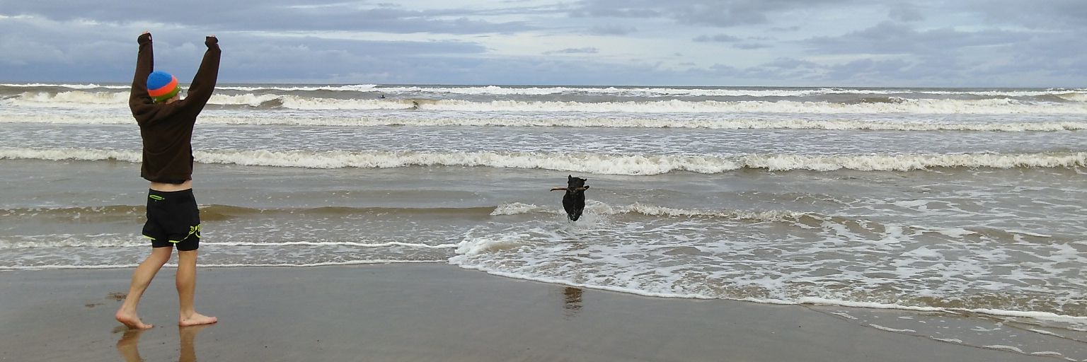 Stuart Walker banner