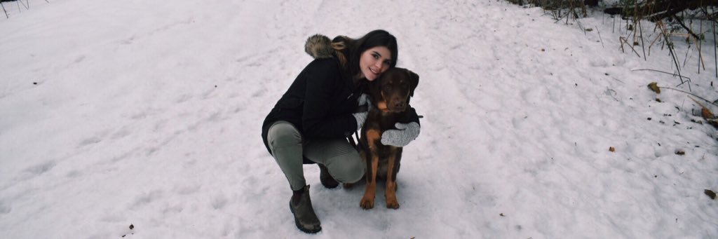 bre_romano's profile banner image